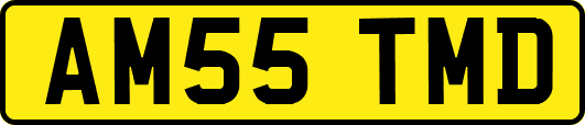 AM55TMD