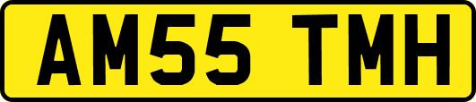 AM55TMH