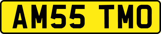 AM55TMO