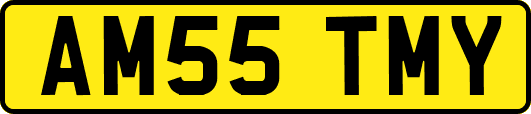 AM55TMY