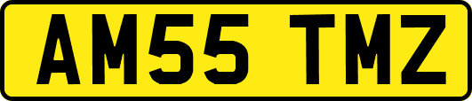 AM55TMZ