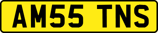 AM55TNS