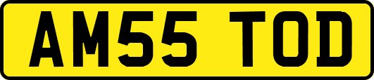 AM55TOD