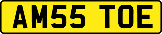 AM55TOE