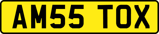 AM55TOX
