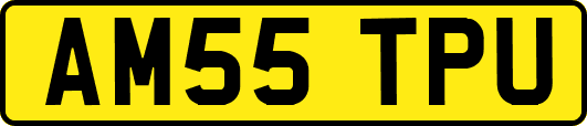 AM55TPU