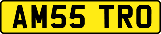 AM55TRO