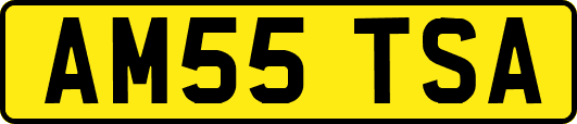 AM55TSA