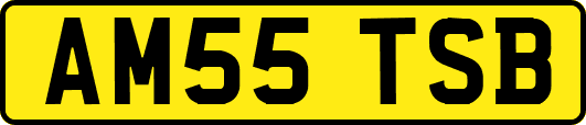 AM55TSB