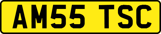 AM55TSC