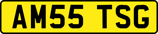 AM55TSG
