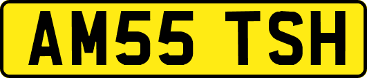 AM55TSH