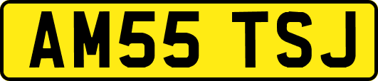 AM55TSJ