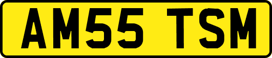 AM55TSM