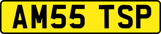 AM55TSP