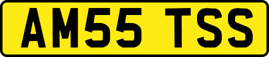AM55TSS