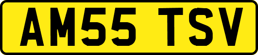 AM55TSV