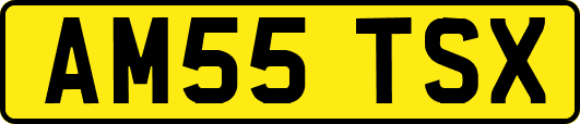 AM55TSX