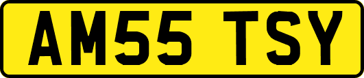 AM55TSY