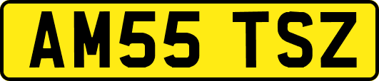 AM55TSZ