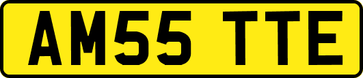 AM55TTE