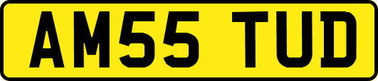 AM55TUD