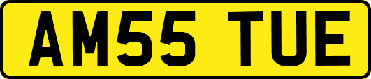 AM55TUE