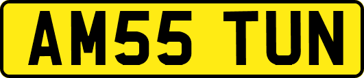 AM55TUN