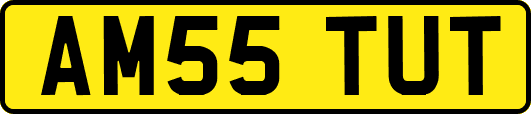 AM55TUT
