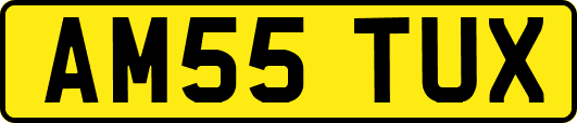 AM55TUX