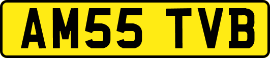 AM55TVB