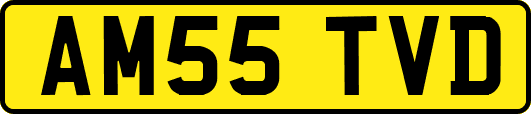 AM55TVD
