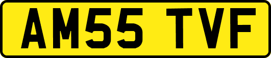 AM55TVF