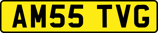 AM55TVG