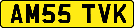 AM55TVK