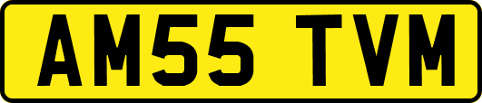 AM55TVM