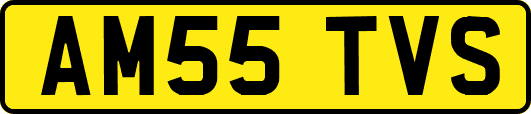 AM55TVS