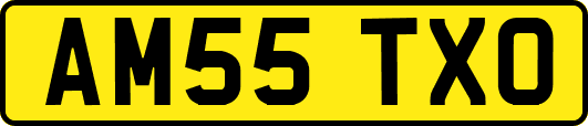 AM55TXO