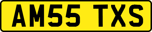 AM55TXS