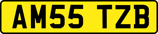 AM55TZB