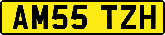 AM55TZH