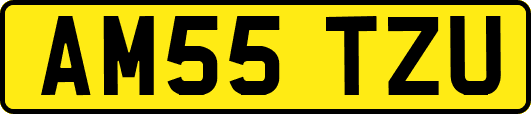 AM55TZU