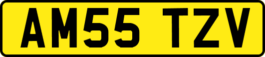 AM55TZV