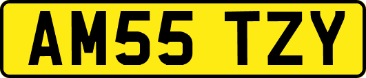 AM55TZY