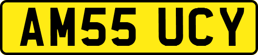 AM55UCY