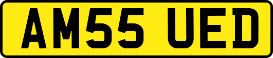 AM55UED