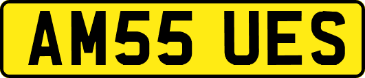 AM55UES