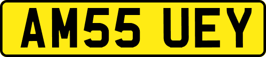 AM55UEY