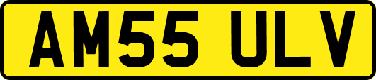 AM55ULV