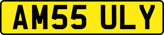 AM55ULY